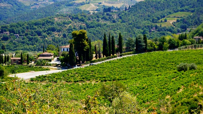 Grüne Landschaft in der italienischen Toskana