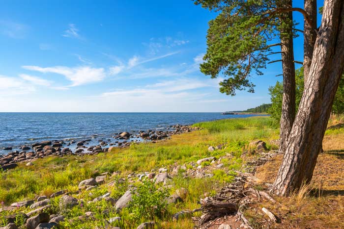 Ostseeküste in Loksa (Estland)